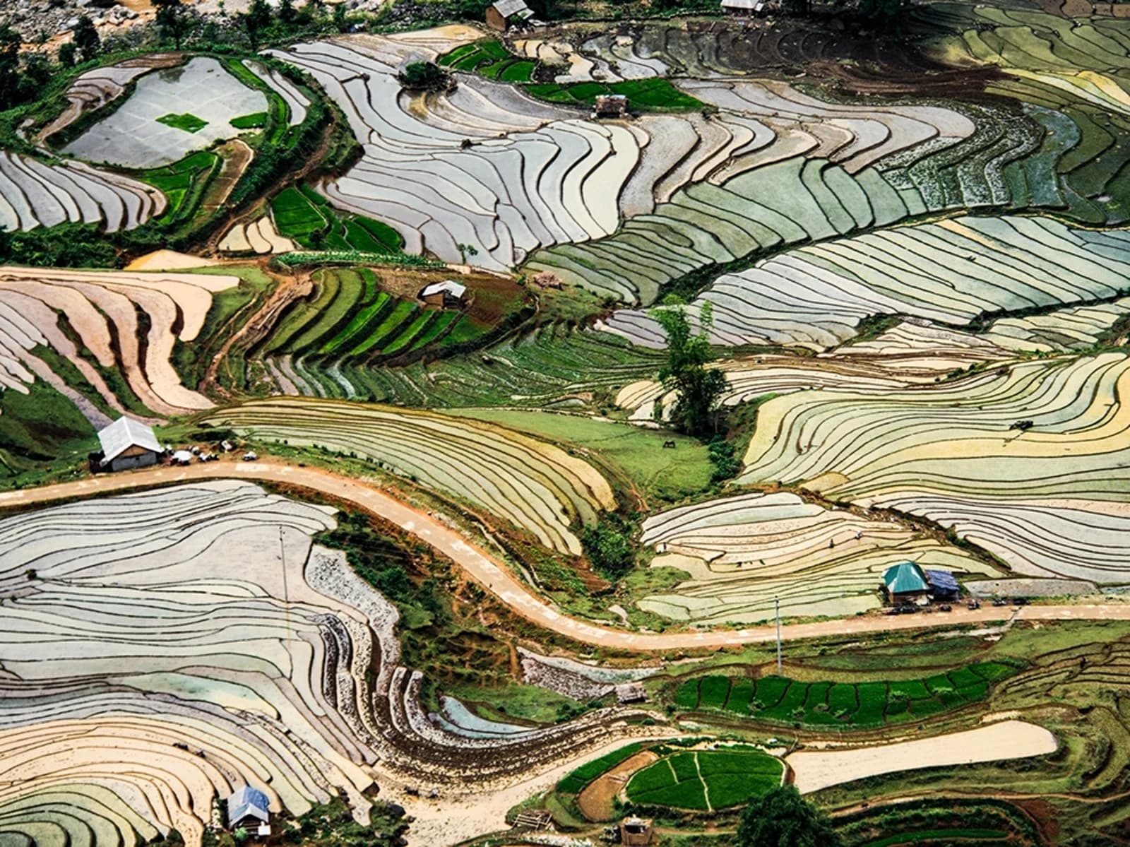 Flooded terraced rice fields in Y Ty, northern Vietnam