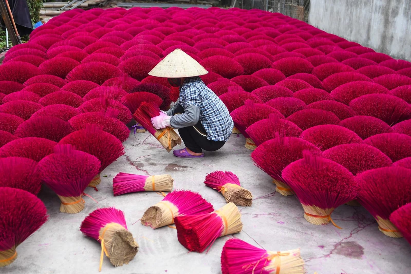 Incense bundles being gathered at Quang Phu Cau near Hanoi before Tết